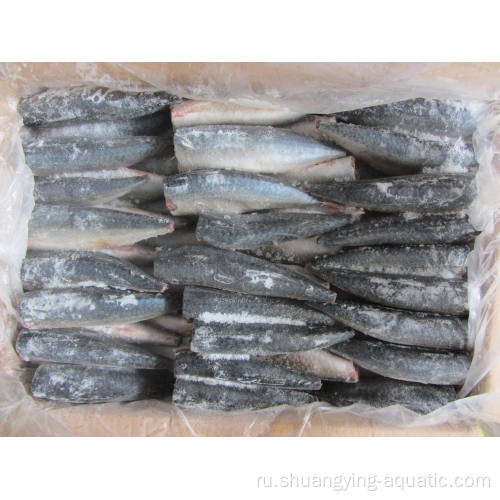 Высококачественная замороженная тихоокеанская скумбрия рыба HGT Продажа